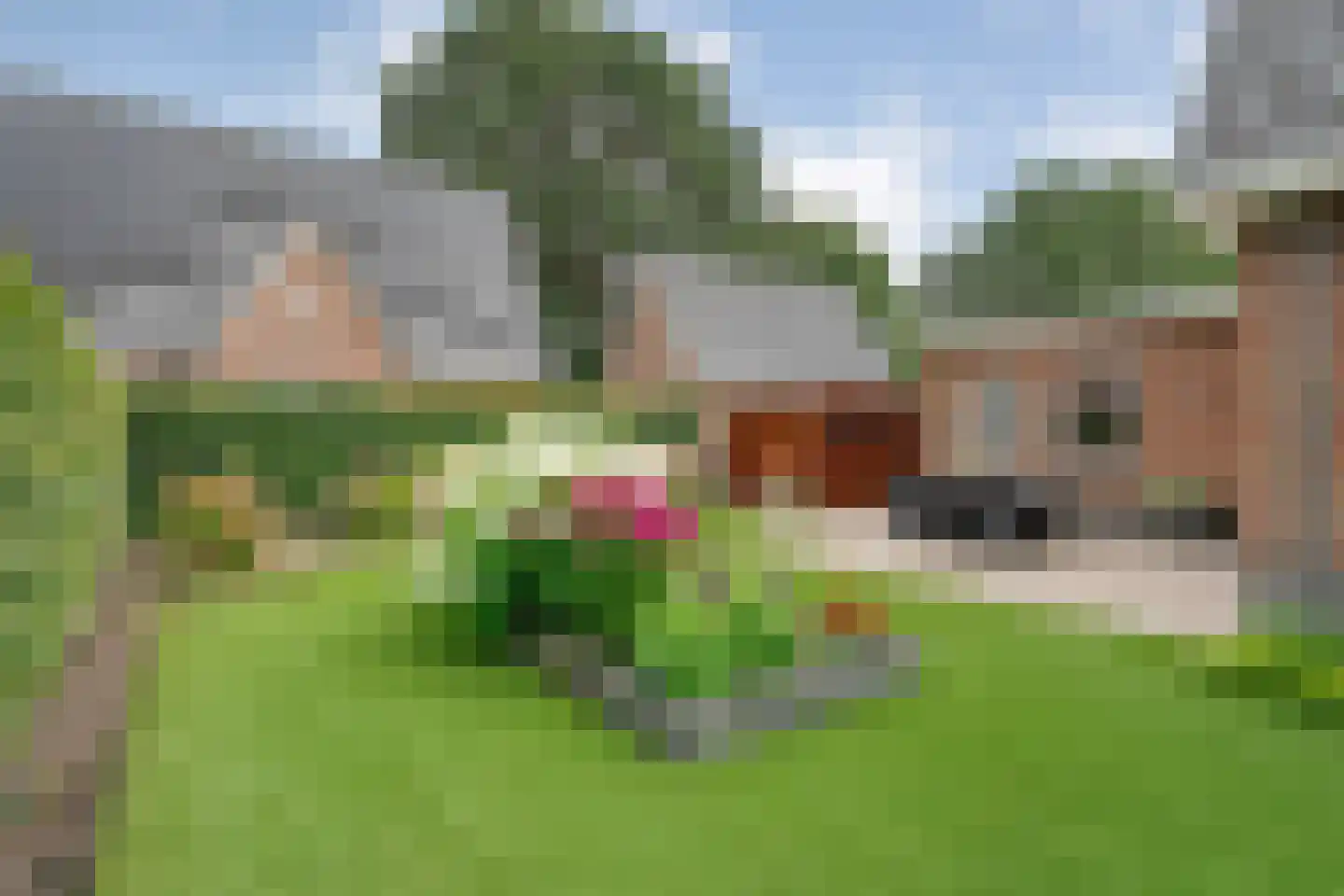Vlierhof 15 Beilen thumbnail 48