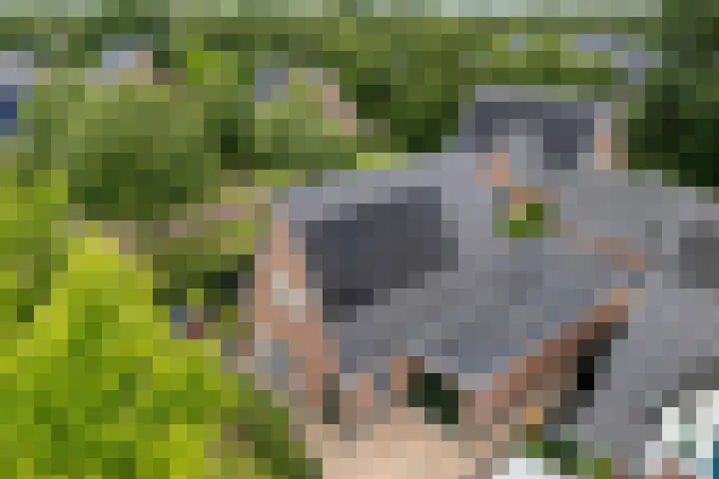 Vlierhof 15 Beilen thumbnail 50