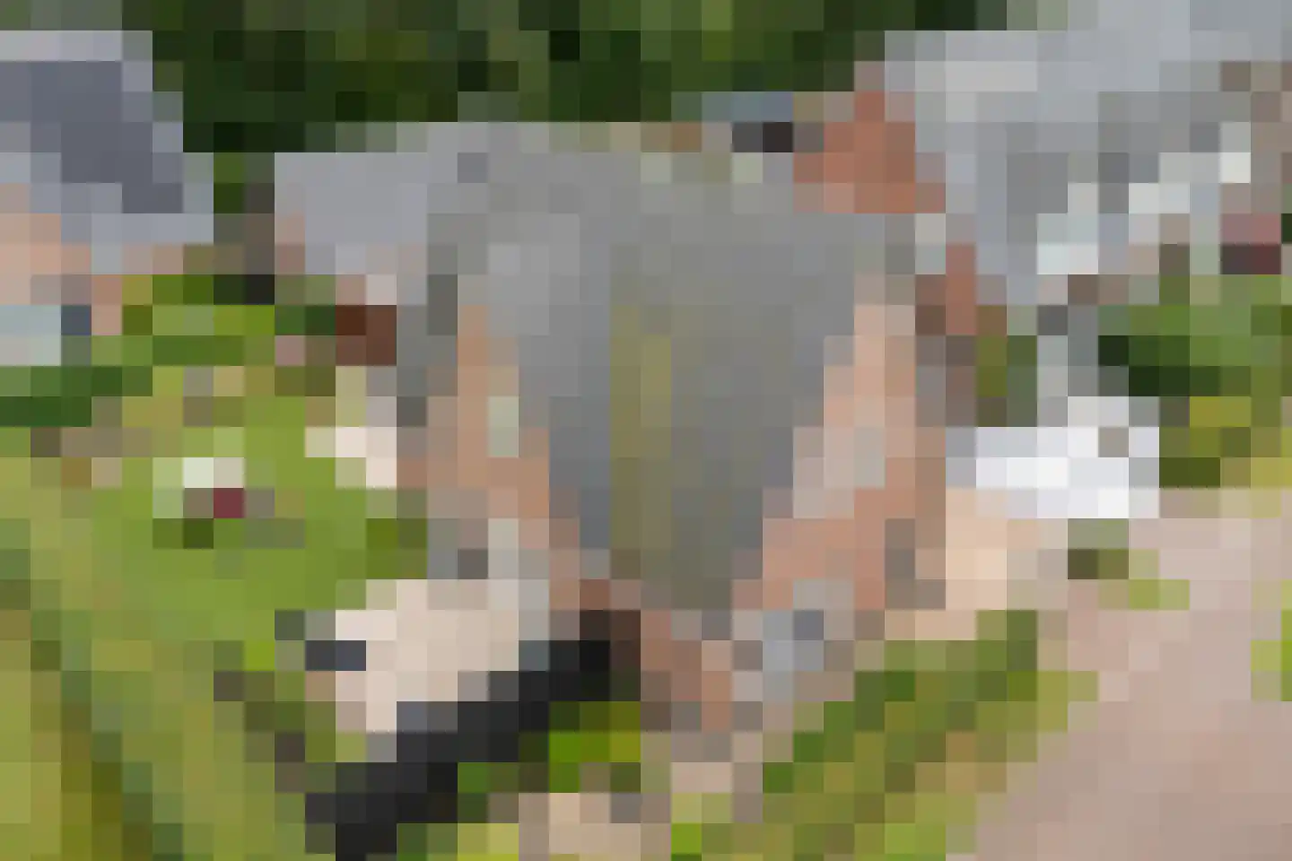 Vlierhof 15 Beilen thumbnail 53
