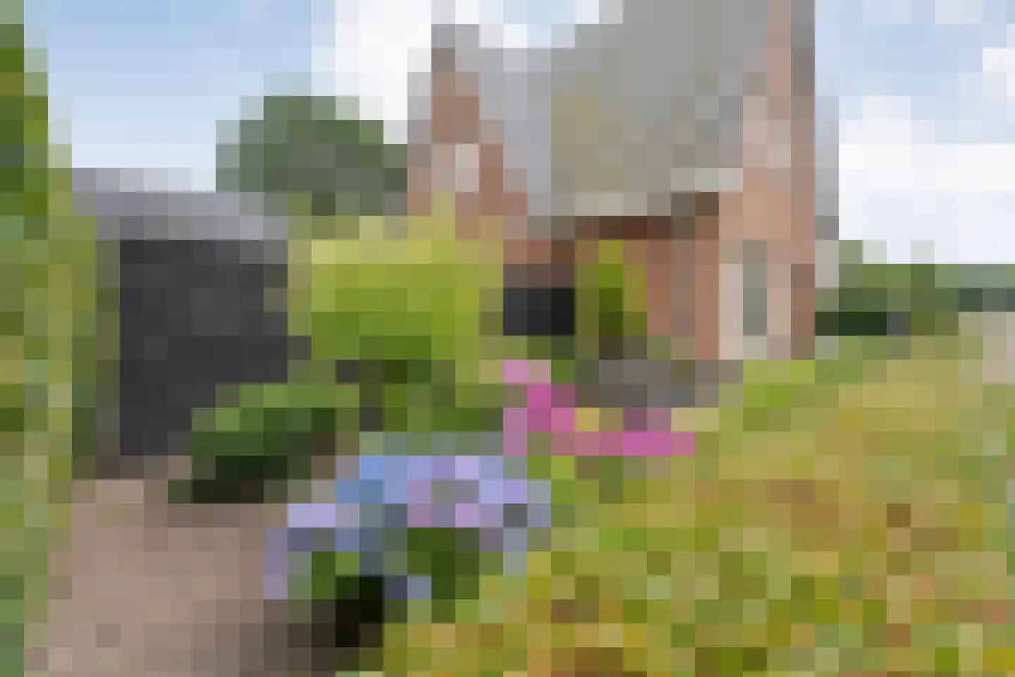 Vlierhof 15 Beilen thumbnail 54