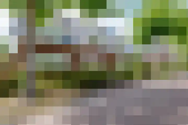 Vlierhof 18 Beilen thumbnail 34