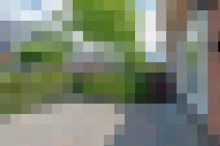 Vlierhof 18 Beilen thumbnail 35