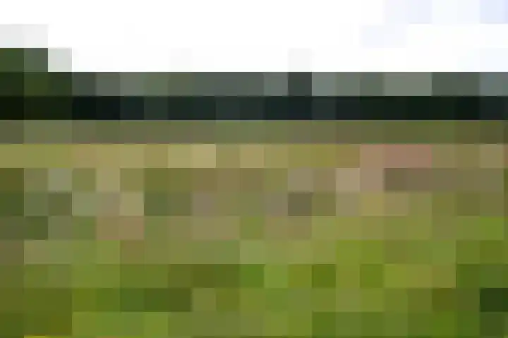 Vlierhof 18 Beilen thumbnail 36