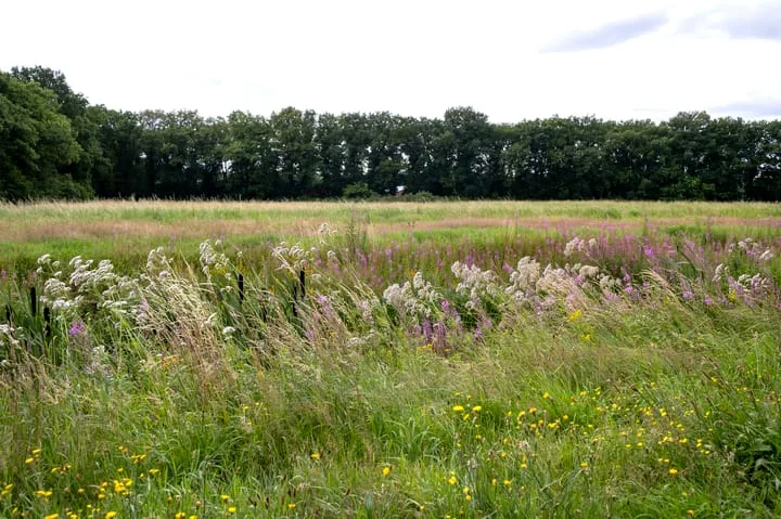 Vlierhof 18 Beilen thumbnail 36