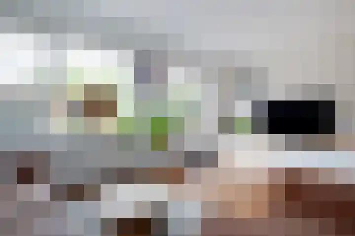 Vlierhof 18 Beilen thumbnail 6