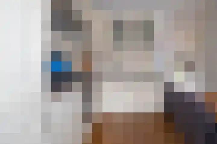 Vlierhof 18 Beilen thumbnail 8