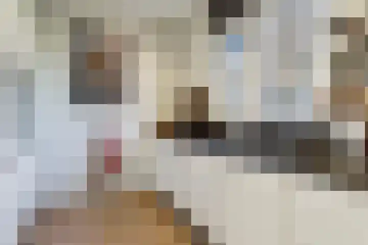 Vlierhof 4 Dieren thumbnail 10