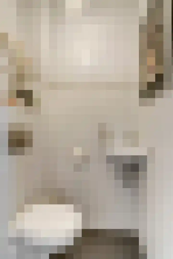 Vlierhof 4 Dieren thumbnail 12
