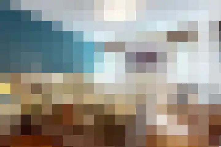 Vlierhof 4 Dieren thumbnail 14