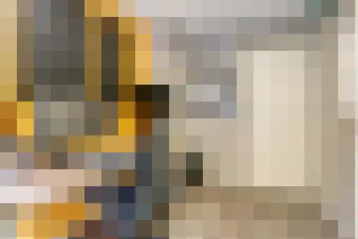 Vlierhof 4 Dieren thumbnail 17