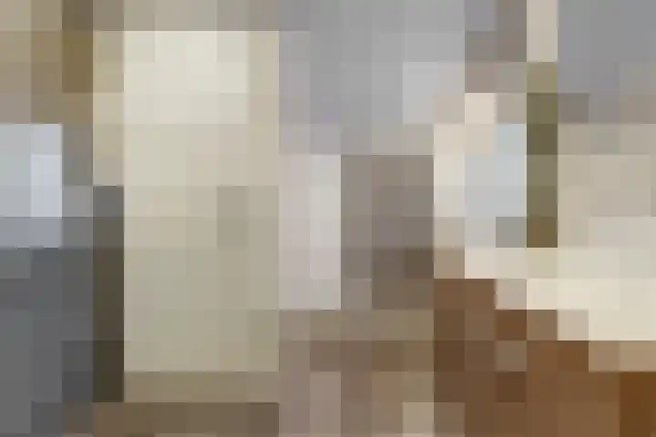 Vlierhof 4 Dieren thumbnail 20