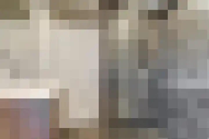 Vlierhof 4 Dieren thumbnail 21