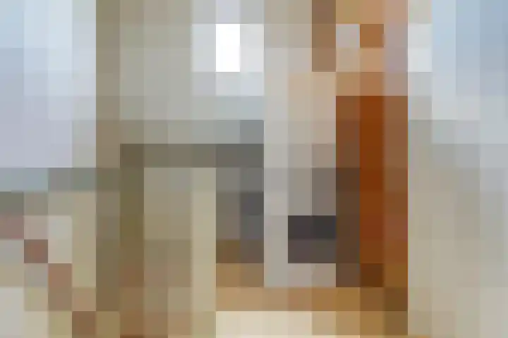 Vlierhof 4 Dieren thumbnail 23