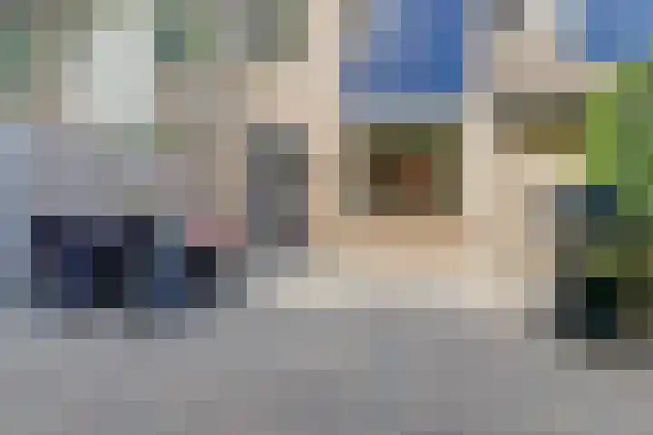 Vlierhof 4 Dieren thumbnail 26