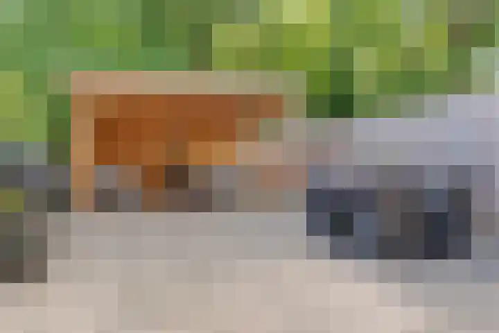 Vlierhof 4 Dieren thumbnail 27