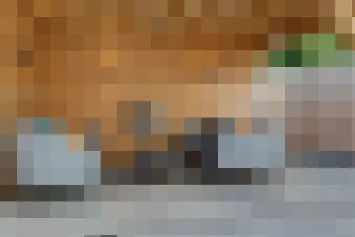 Vlierhof 4 Dieren thumbnail 28