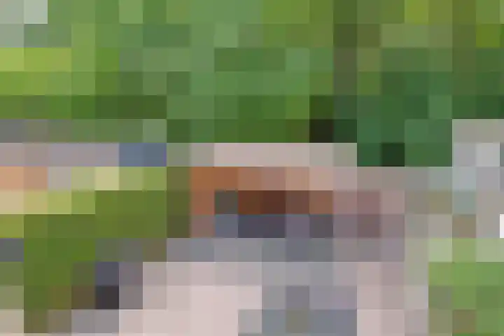 Vlierhof 4 Dieren thumbnail 29