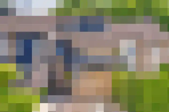 Vlierhof 4 Dieren thumbnail 30