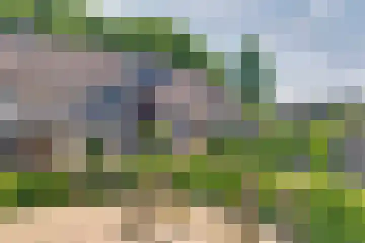 Vlierhof 4 Dieren thumbnail 31