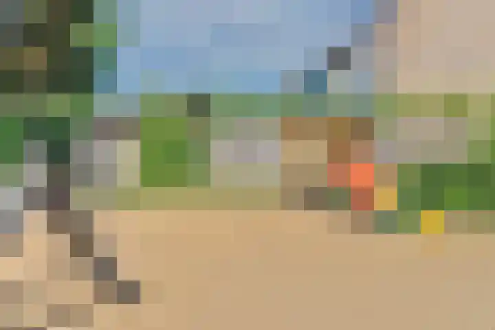 Vlierhof 4 Dieren thumbnail 32