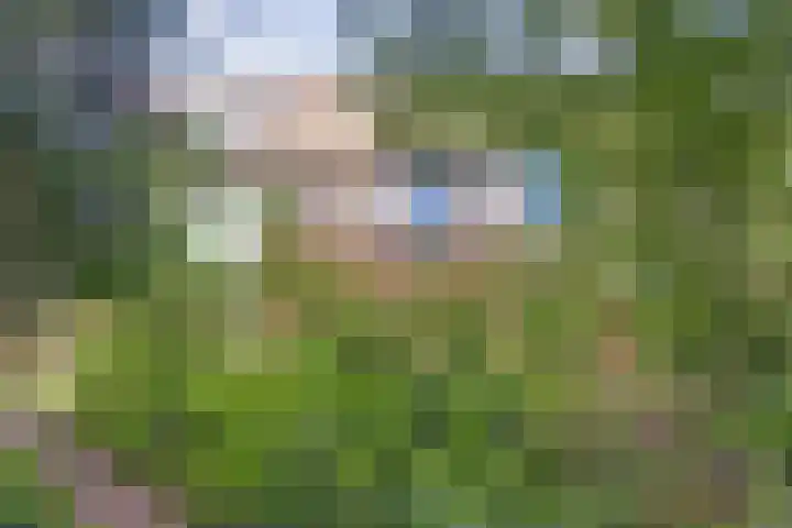 Vlierhof 4 Dieren thumbnail 34