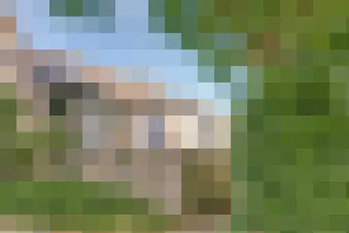 Vlierhof 4 Dieren thumbnail 35