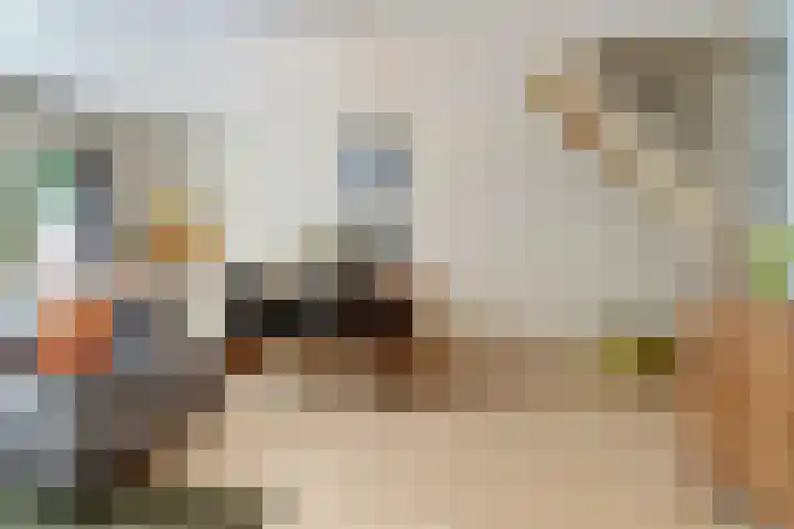 Vlierhof 4 Dieren thumbnail 4