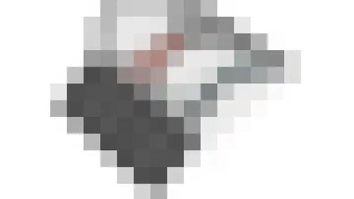Vlierhof 4 Dieren thumbnail 41
