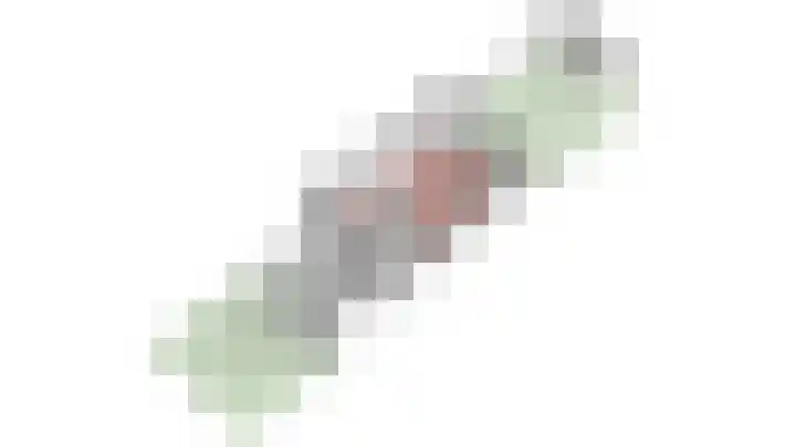 Vlierhof 4 Dieren thumbnail 43