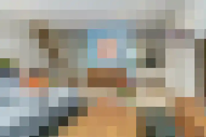 Vlierhof 4 Dieren thumbnail 6