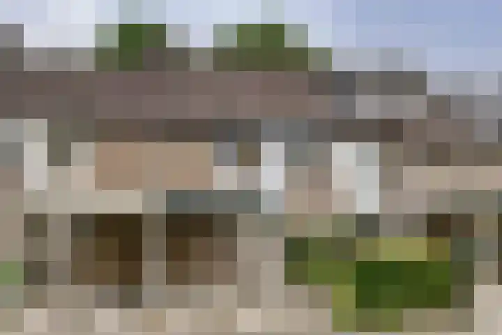 Vlierhof 40 Dieren