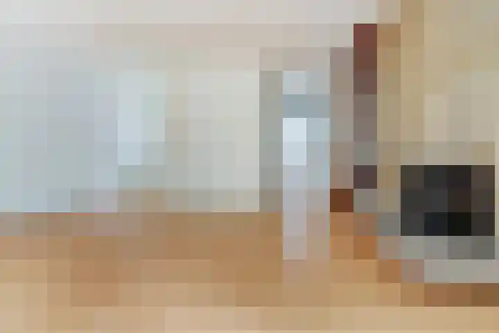 Vlierhof 40 Dieren thumbnail 11