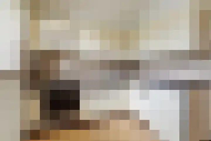 Vlierhof 40 Dieren thumbnail 12