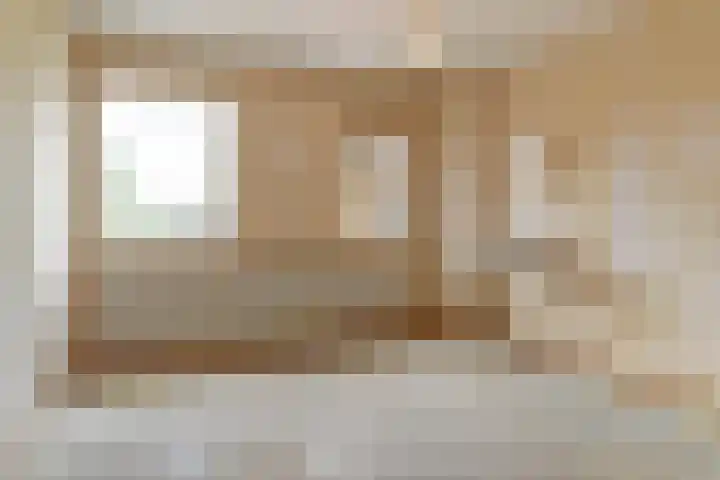 Vlierhof 40 Dieren thumbnail 14