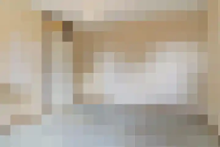Vlierhof 40 Dieren thumbnail 15