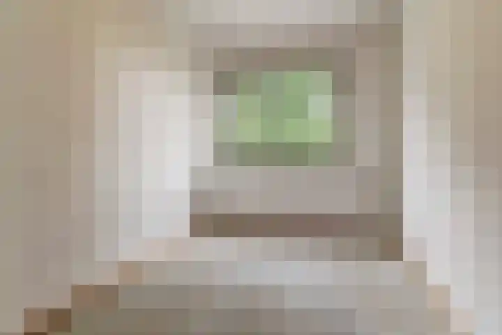 Vlierhof 40 Dieren thumbnail 16
