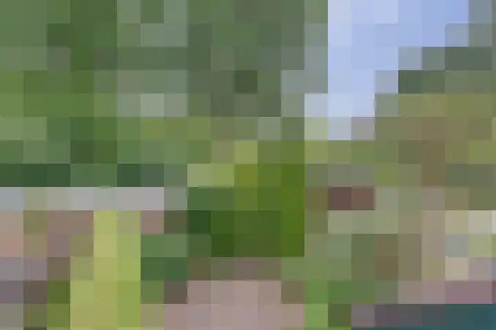 Vlierhof 40 Dieren thumbnail 17