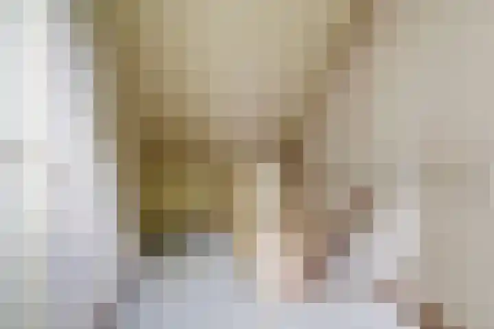 Vlierhof 40 Dieren thumbnail 21