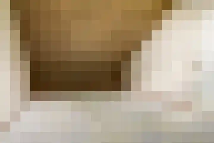 Vlierhof 40 Dieren thumbnail 22