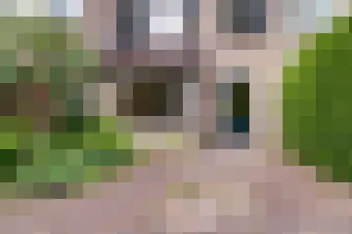 Vlierhof 40 Dieren thumbnail 25