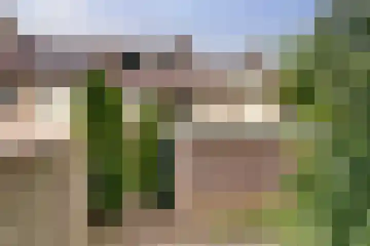 Vlierhof 40 Dieren thumbnail 26
