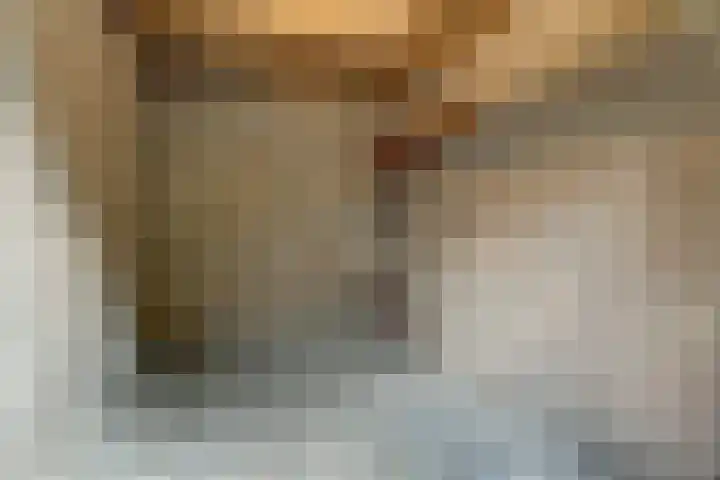 Vlierhof 40 Dieren thumbnail 27