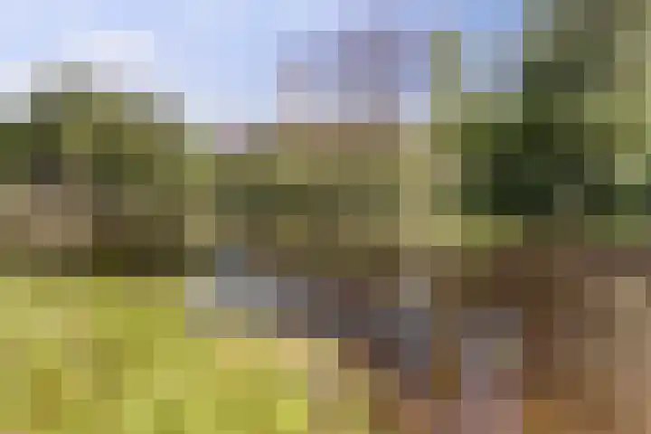 Vlierhof 40 Dieren thumbnail 29