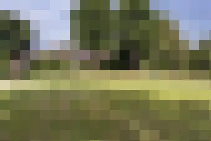 Vlierhof 40 Dieren thumbnail 30