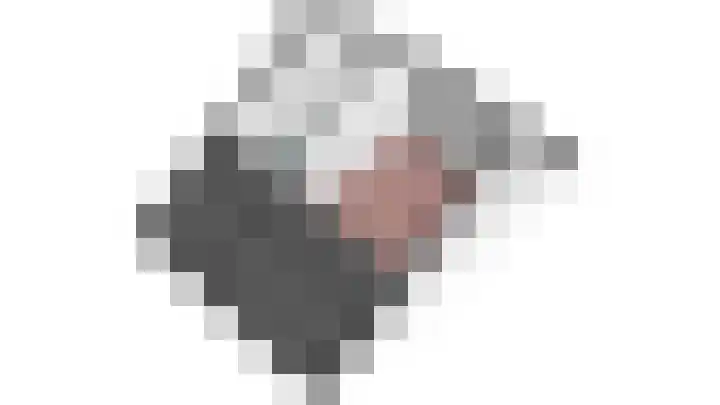 Vlierhof 40 Dieren thumbnail 33