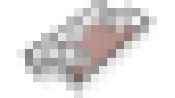 Vlierhof 40 Dieren thumbnail 35
