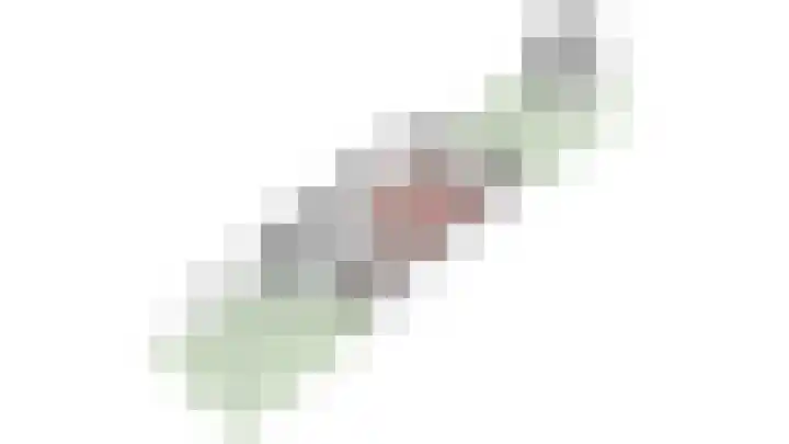 Vlierhof 40 Dieren thumbnail 37