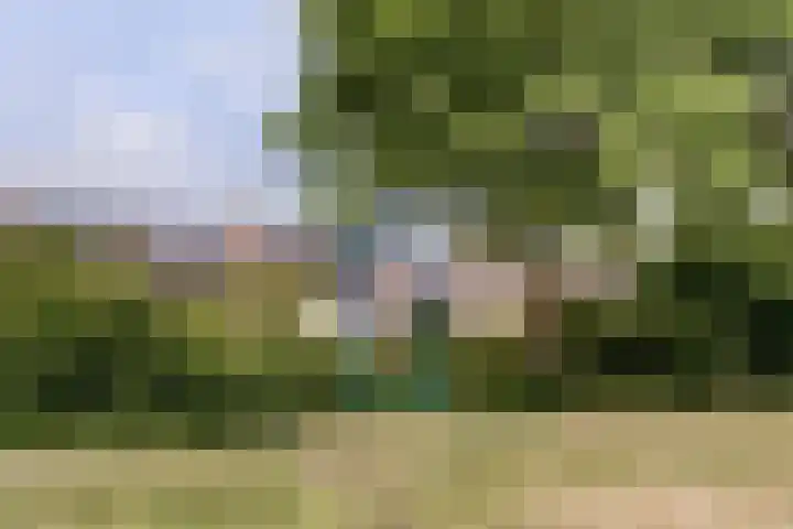 Vlierhof 40 Dieren thumbnail 4