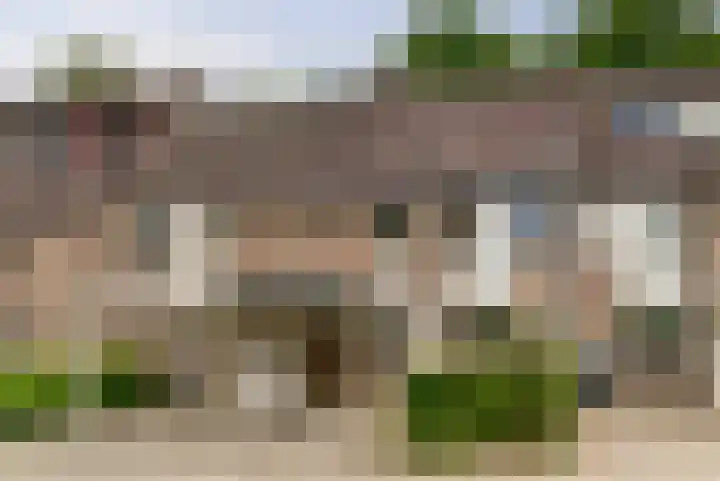 Vlierhof 40 Dieren thumbnail 5