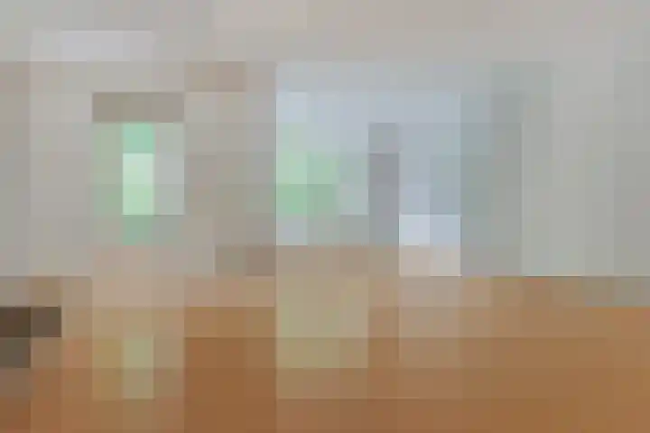 Vlierhof 40 Dieren thumbnail 7